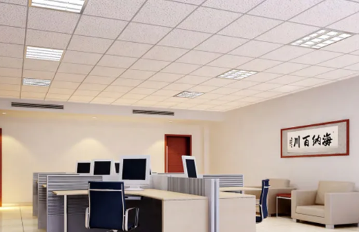 What Are the Best Ceiling Solutions for Improving Office Acoustics?
